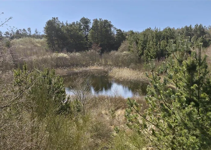 Bl464-blokhus-blaabaerskraenten-8 ブロックフス